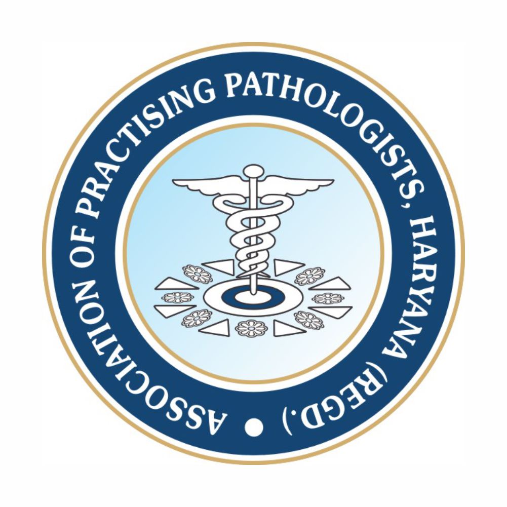 Main Logo